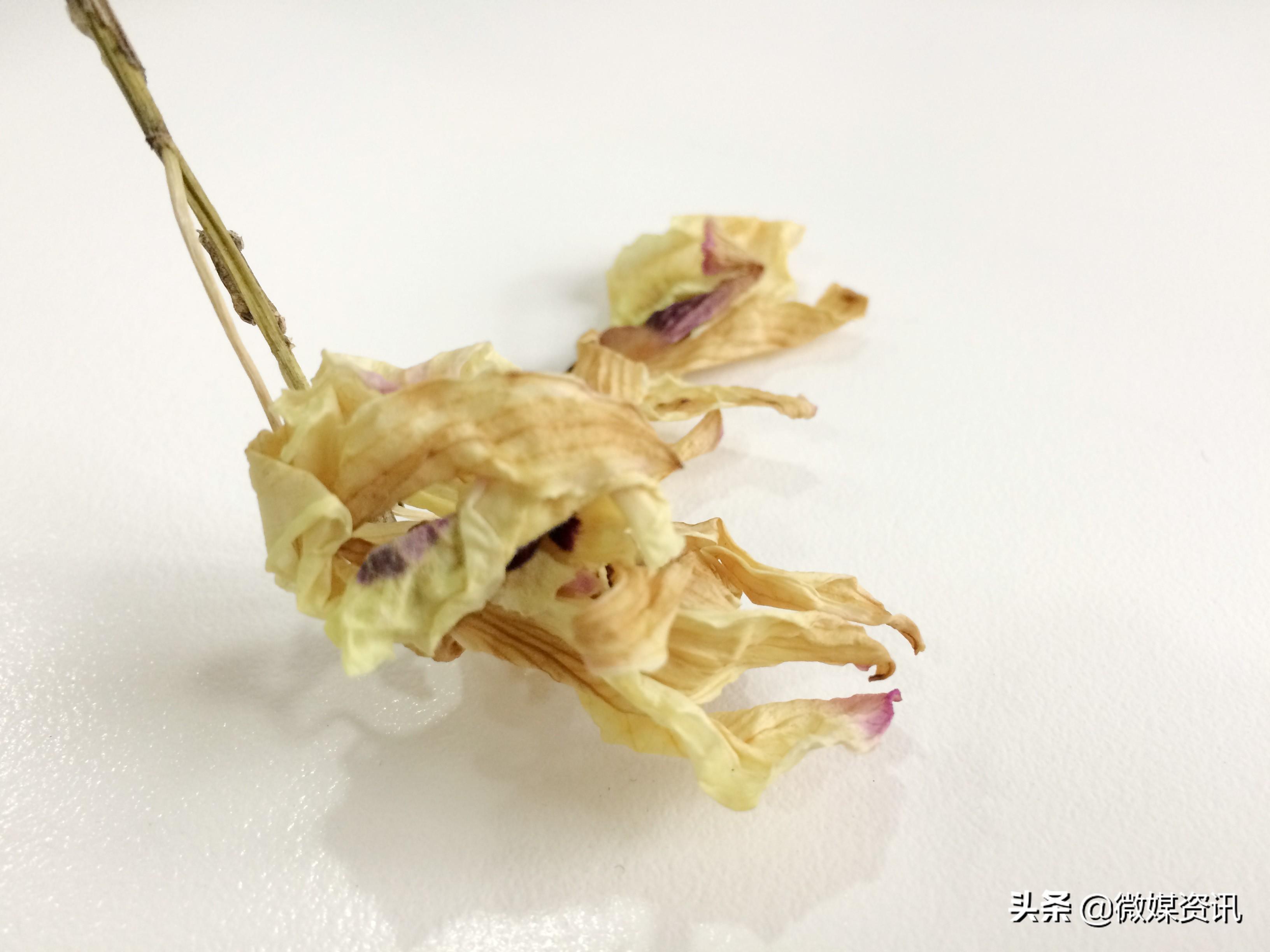 石斛泡水喝的功效，揭示古老草藥的多重益處，石斛泡水喝的秘密，多重益處揭秘古老草藥的力量