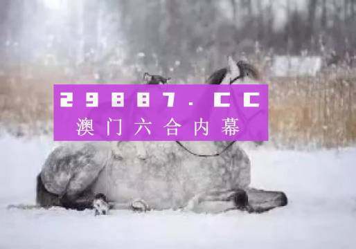 澳門正版精準(zhǔn)資料，探索未來的預(yù)測與策略（2024版），澳門正版精準(zhǔn)資料揭秘，未來預(yù)測與策略探索（2024版）