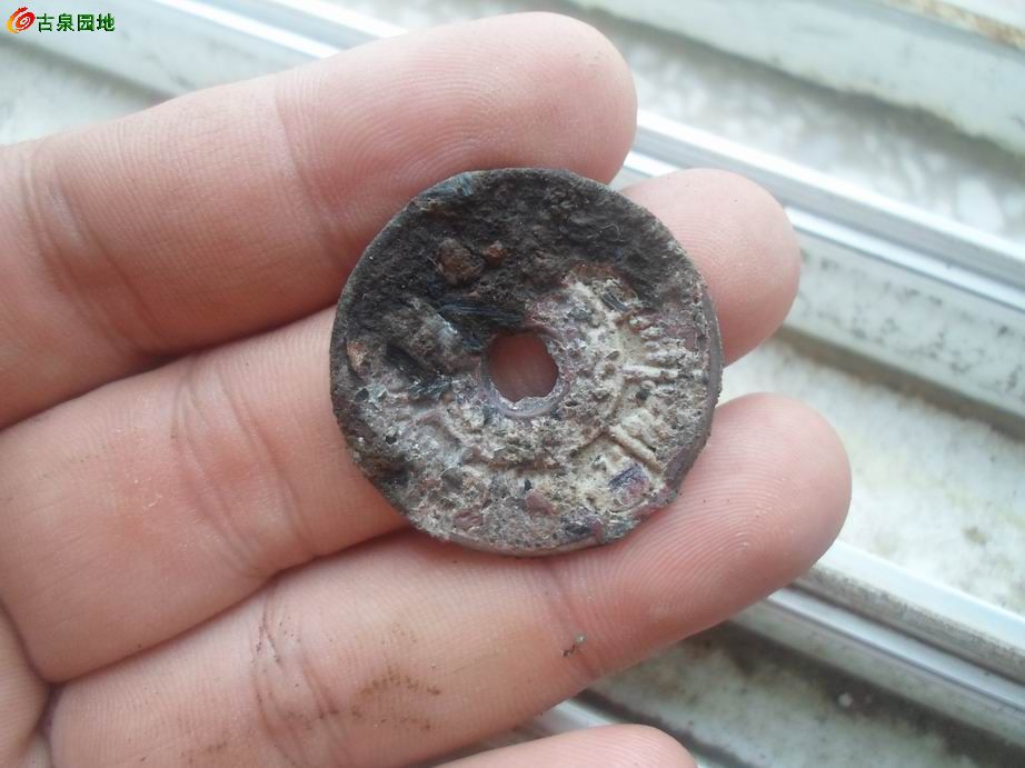 鐵錢盤王中王平特一肖，揭秘背后的故事與傳奇，揭秘鐵錢盤王中王平特一肖背后的故事與傳奇