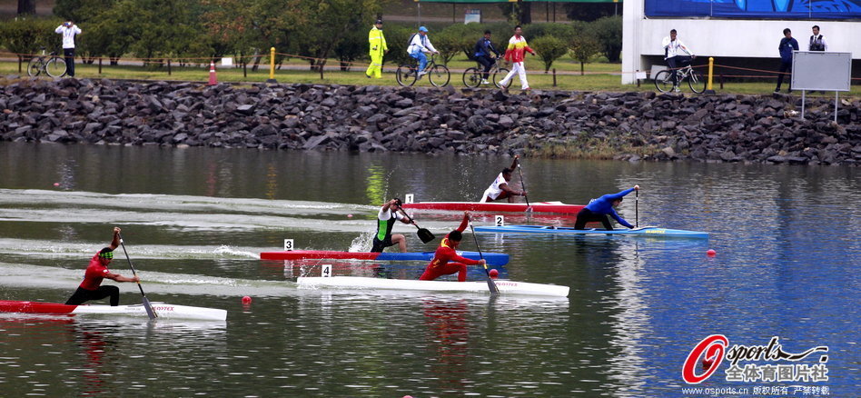 王中王選一肖一馬期期中，揭秘彩票背后的秘密策略與技巧，揭秘彩票背后的秘密策略與技巧，王中王選一肖一馬期期中之道