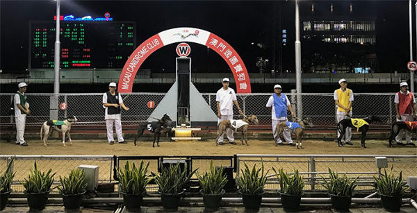 澳門(mén)開(kāi)獎(jiǎng)最快的助手是誰(shuí)