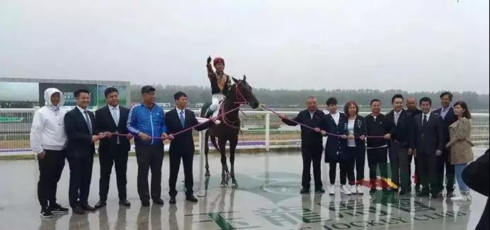 新奧門一肖一馬圖片資料，探索與揭秘，新奧門一肖一馬圖片資料，探索與揭秘其神秘面紗