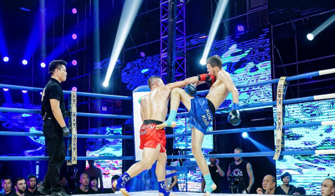 王中王72期指一生肖，深度解析與SEO優(yōu)化文章，王中王72期生肖深度解析與SEO優(yōu)化策略探討