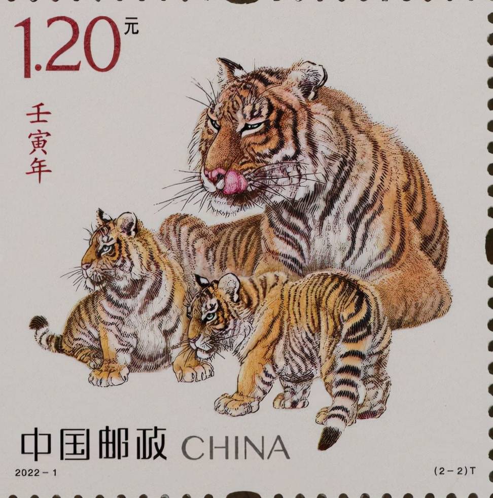 虎頭王中王打一生肖