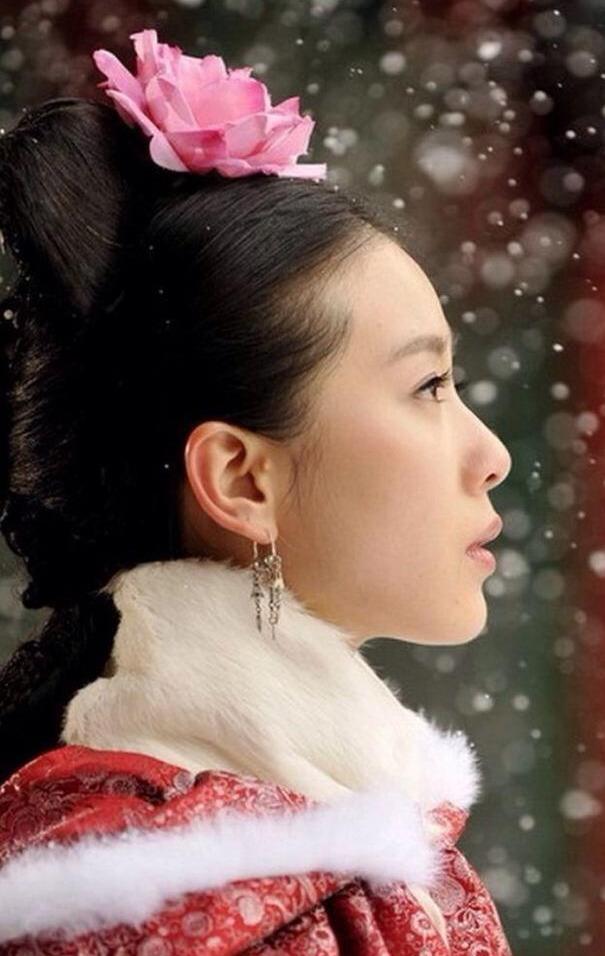 步步驚心演員表及全部演員介紹，步步驚心演員陣容一覽及角色介紹