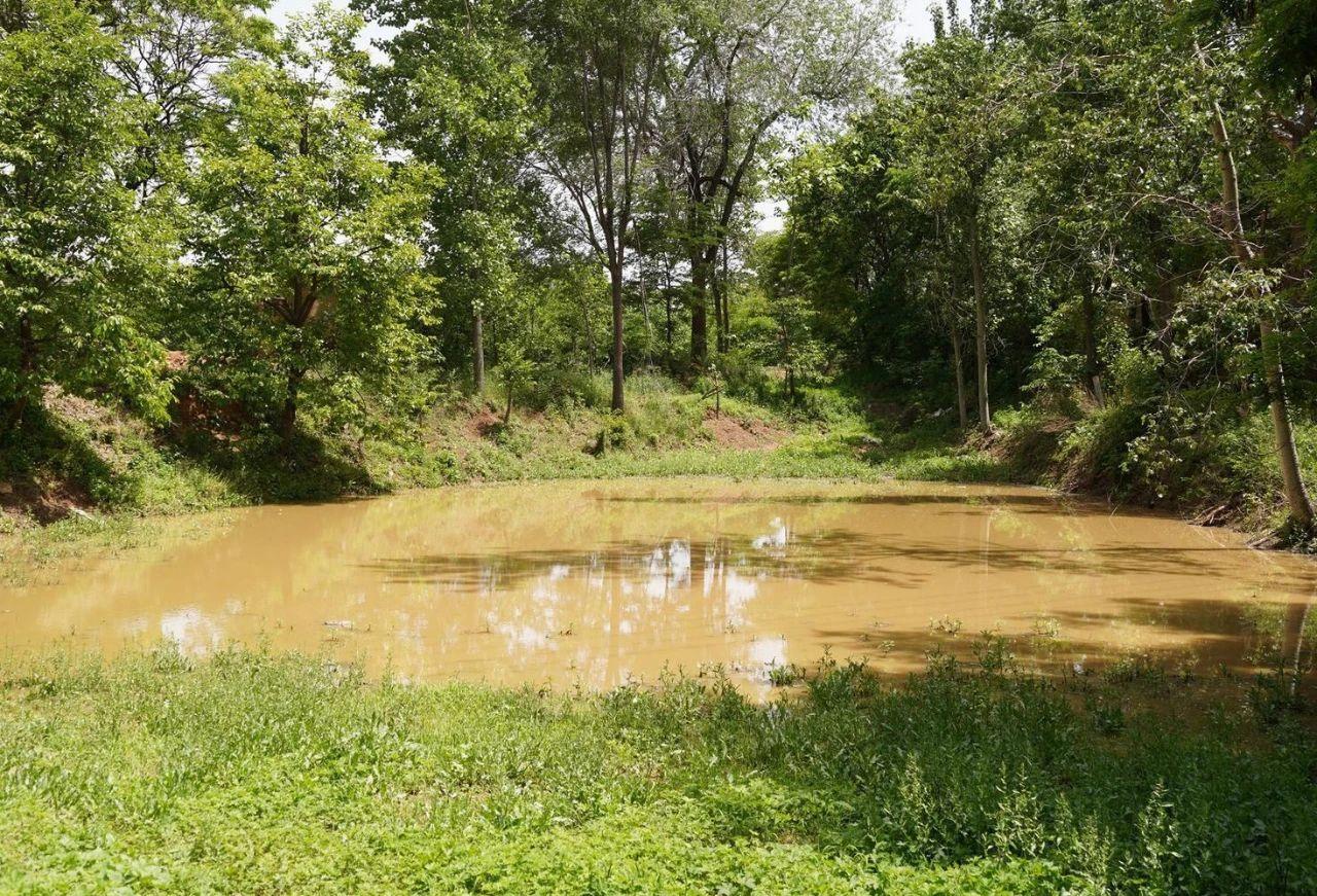 澳門最精準正最精準龍門客棧免費