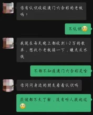 深度探索（或“深度解析”）