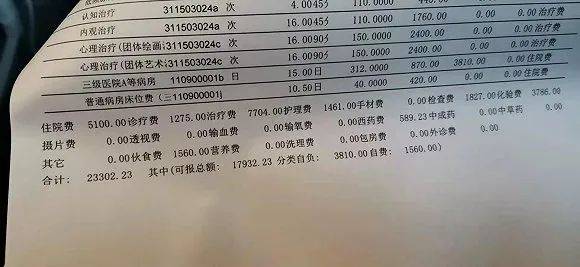一圖看懂真假抑郁癥，全面解析抑郁癥癥狀與識別方法，一圖解析，抑郁癥的真假癥狀與識別方法指南