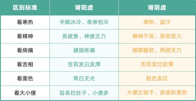 腎陰虛與腎陽虛對照表，深入理解中醫(yī)體質(zhì)差異，腎陰虛與腎陽虛對照表，深入理解中醫(yī)體質(zhì)差異特征