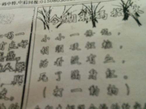 劉伯溫特一肖王中王，傳奇人物與神秘預(yù)言的交融，劉伯溫，傳奇人物與神秘預(yù)言的交融——特一肖王中王