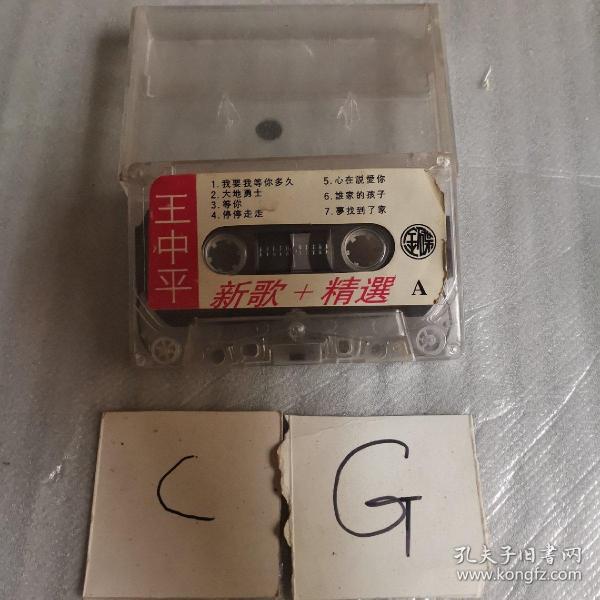 王中王中平特一肖，探尋背后的故事與奧秘，王中王中平特一肖背后的故事與奧秘探尋