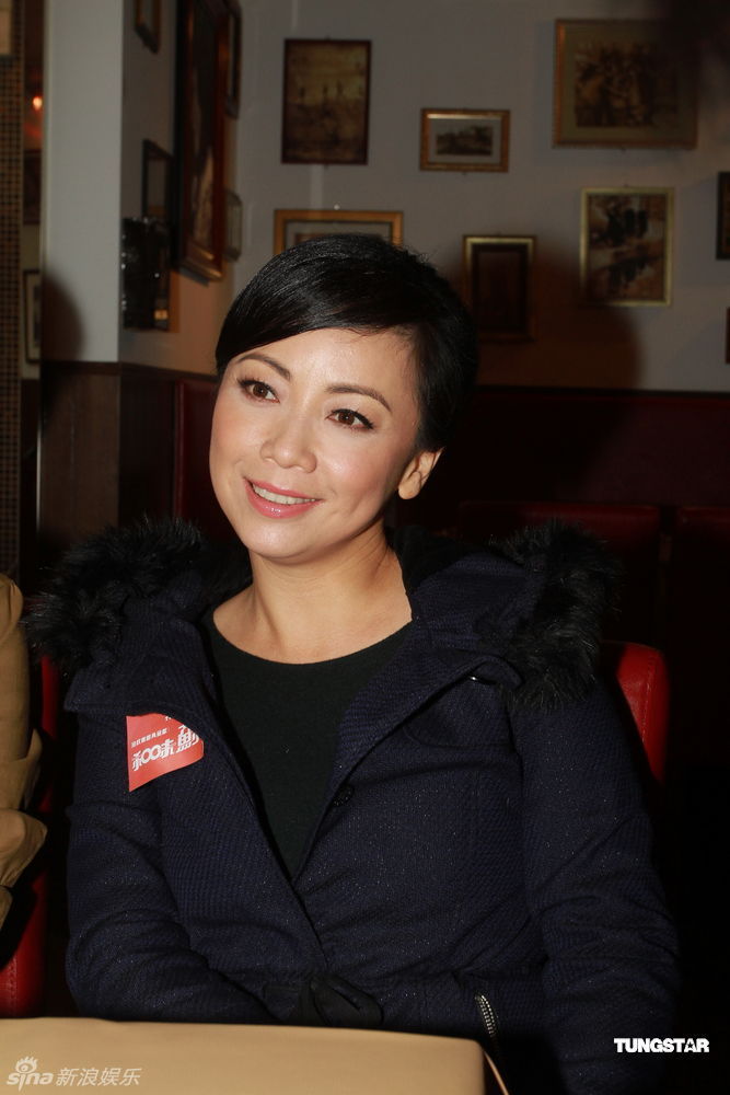 鄧萃雯個人資料，深度解析一位演藝界的璀璨明星，鄧萃雯，演藝界的璀璨明星之路深度解析