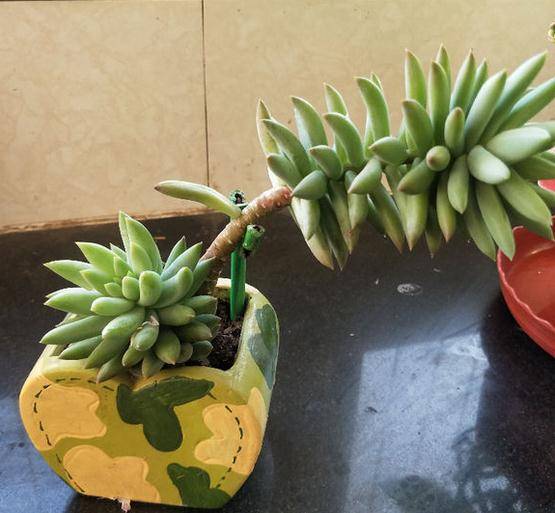 澳門晚上六點半開獎結(jié)果，揭秘彩票背后的故事，澳門晚六點半開獎揭秘，彩票背后的故事