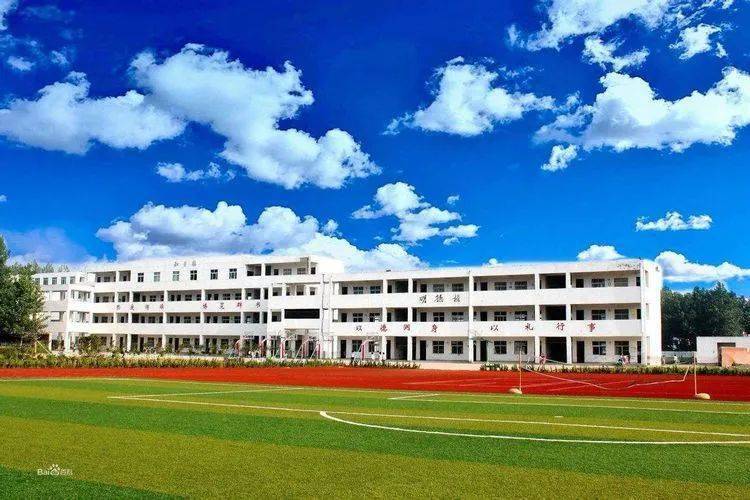 新澳門一肖一特一中，探索與解析，新澳門一肖一特一中，深度探索與解析