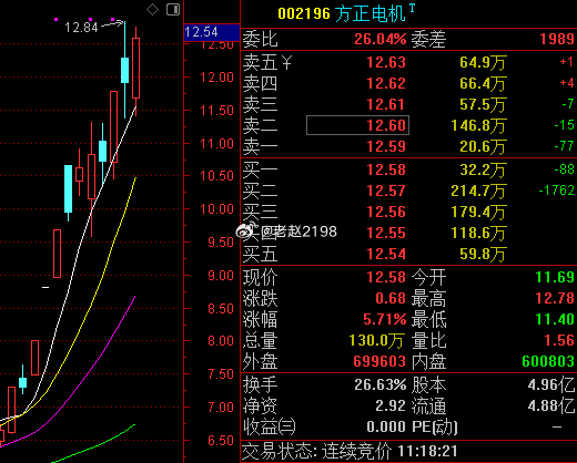 方正電機(jī)股票，深度解析與投資前景展望，方正電機(jī)股票深度解析與投資前景展望