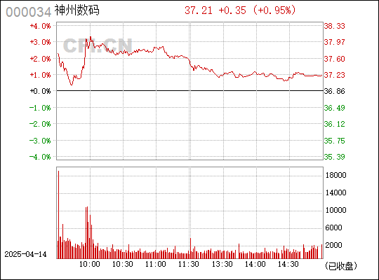 神州數(shù)碼股票（代碼，000034）深度解析，神州數(shù)碼股票（代碼，000034）全面深度解析