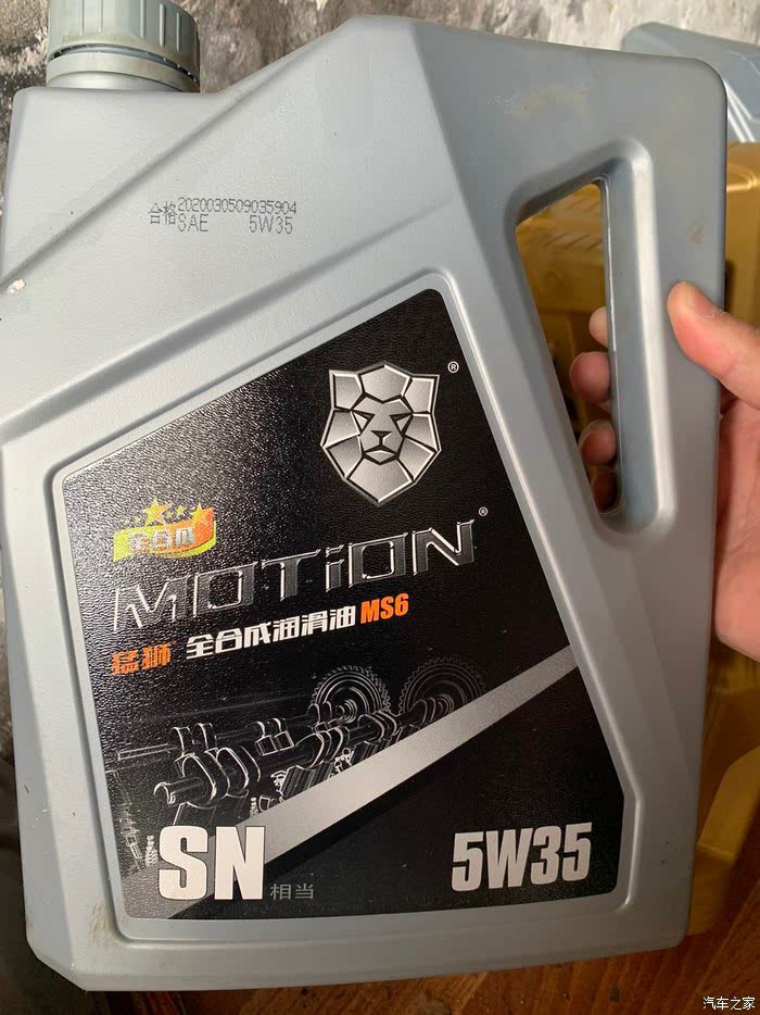 ST猛獅，探索與優(yōu)化的SEO之旅，ST猛獅，SEO之旅的探索與優(yōu)化