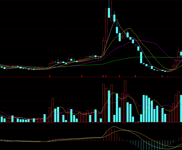 ST中安股吧深度解析，投資亮點與前景展望，ST中安股吧全面解析，投資亮點與未來前景展望