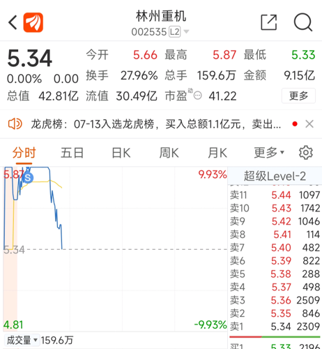 林州重機股票，深度解析與投資前景展望，林州重機股票深度解析與投資前景展望
