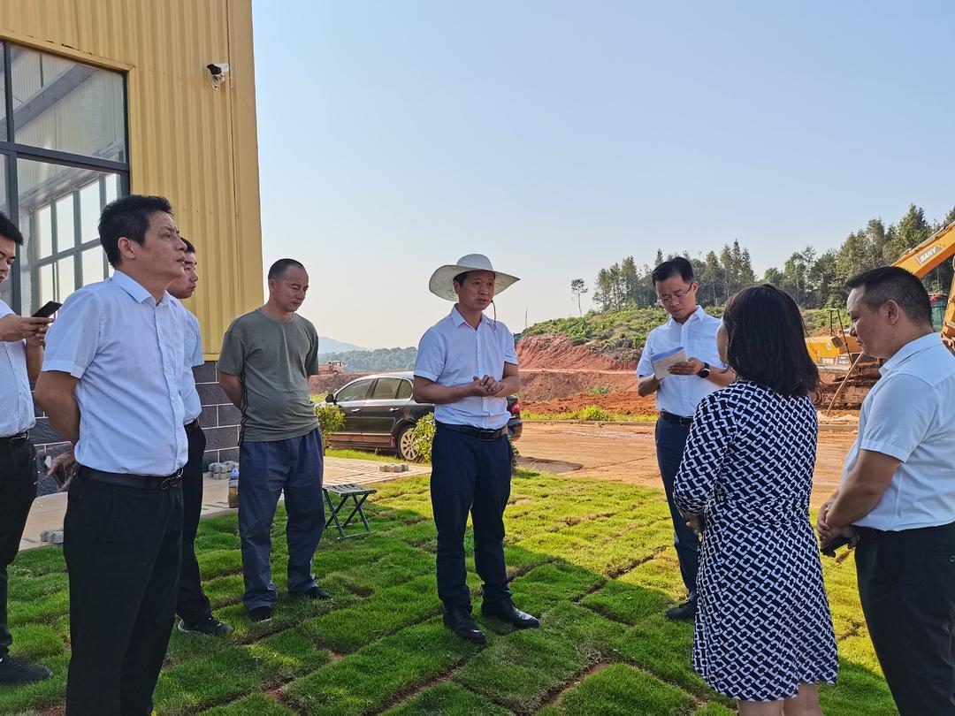 金龍機(jī)電，技術(shù)領(lǐng)航，未來(lái)智能之選，金龍機(jī)電，技術(shù)領(lǐng)航引領(lǐng)未來(lái)智能之選