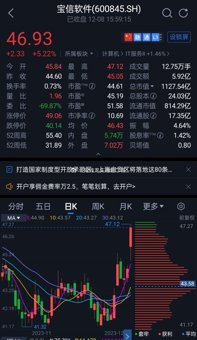 寶信軟件股票，投資潛力與市場前景分析，寶信軟件股票投資潛力與市場前景深度解析