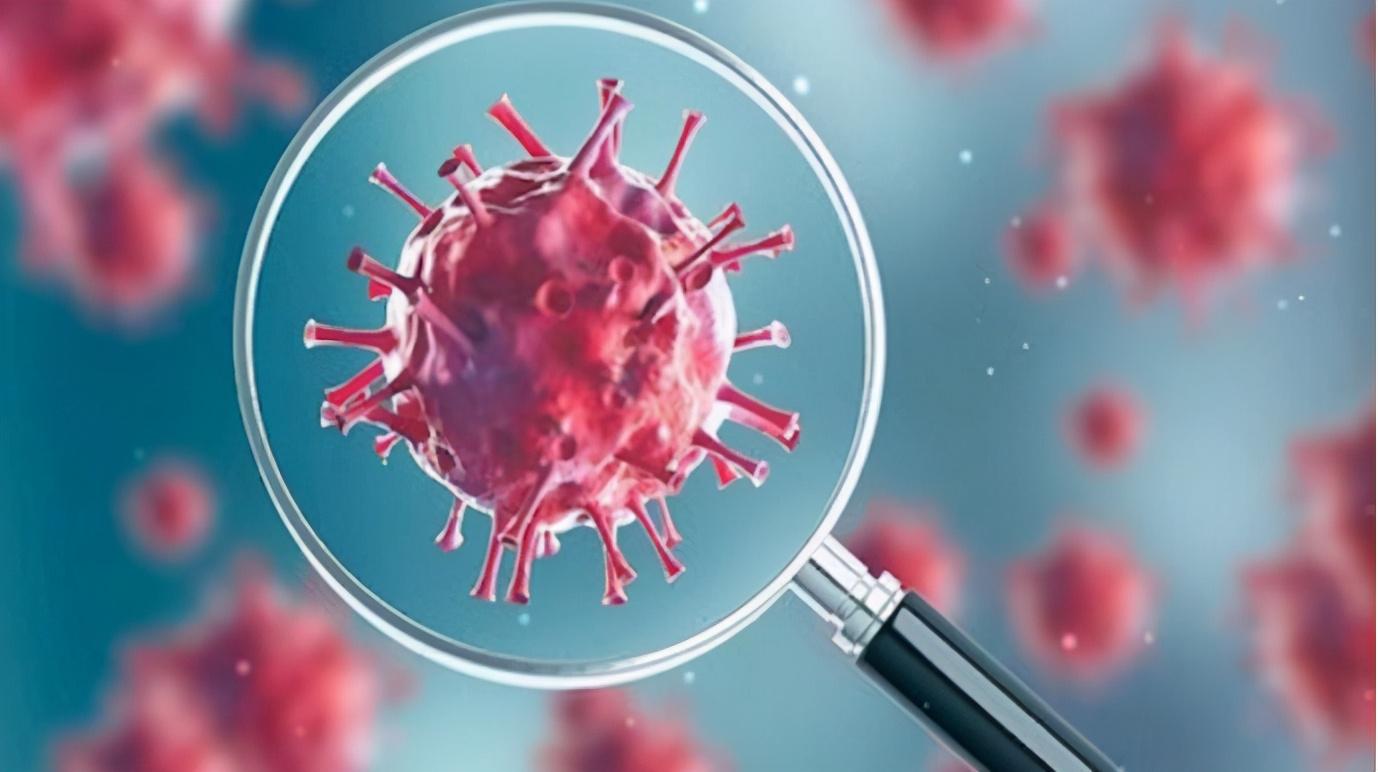 中國(guó)石油價(jià)格漲跌最新消息，全面解析油價(jià)波動(dòng)原因及未來(lái)趨勢(shì)，中國(guó)石油價(jià)格最新動(dòng)態(tài)，漲跌原因解析與未來(lái)趨勢(shì)展望