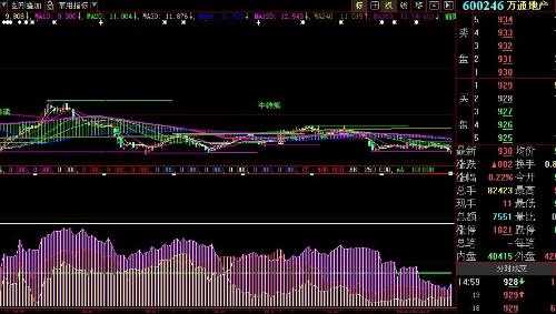 關(guān)于股票600246的全面解析，股票600246的全面深度解析