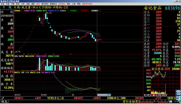 先導(dǎo)智能股票，投資潛力與前景展望，先導(dǎo)智能股票，投資潛力與未來前景展望
