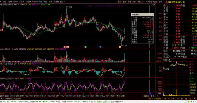 股票300209，深度解析與市場前景展望，股票300209深度解析及市場前景展望
