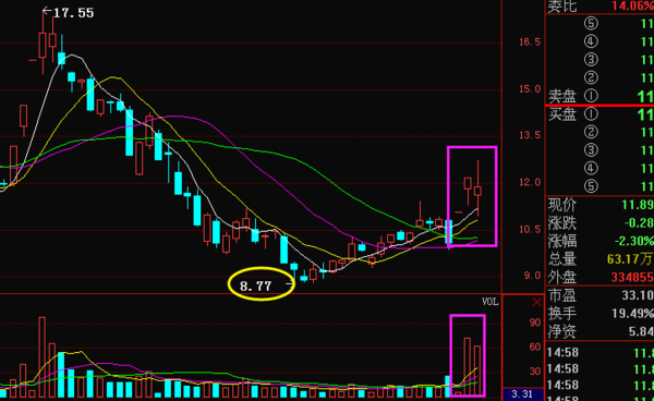 關(guān)于600101最新消息的全面解析，600101最新消息全面解析報告