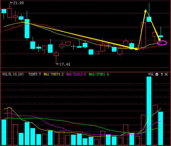 關于股票代碼002769的全面解析，股票代碼002769全面解析與探討
