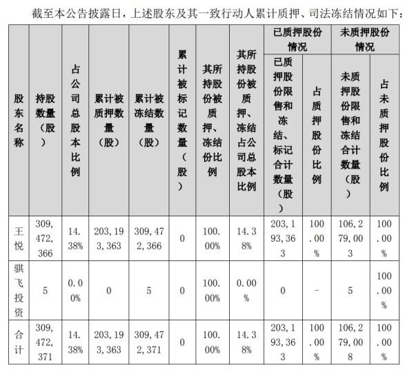 控股子公司持股比例的界定與解析，控股子公司持股比例的界定與詳解