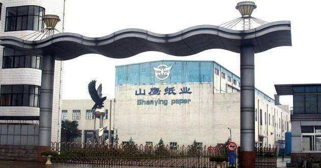 山鷹紙業(yè)股吧，探討公司前景、業(yè)績與市場表現(xiàn)，山鷹紙業(yè)股吧，深度探討公司前景、業(yè)績與市場表現(xiàn)