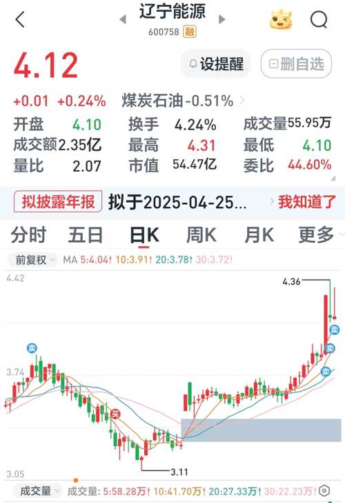 遼寧能源股票，投資潛力與市場前景分析，遼寧能源股票，投資潛力與市場前景深度剖析