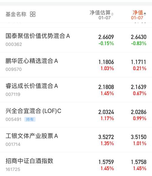 關(guān)于161616基金凈值的全面解析，全面解析，161616基金凈值概況