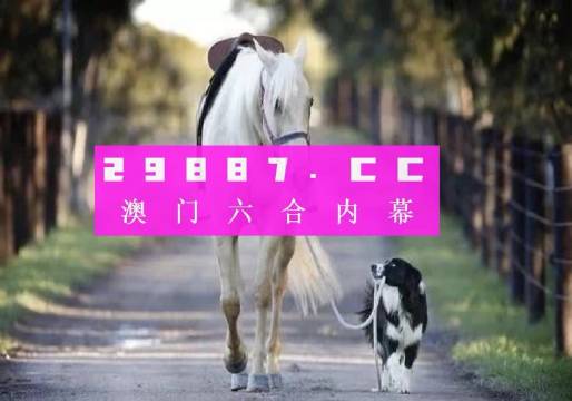 澳門免費精準(zhǔn)大全4949，探索最新資訊與實用指南，澳門最新資訊與實用指南，免費精準(zhǔn)大全4949