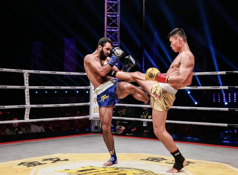 王中王四肖一碼資料論壇，探索與解析彩票秘密的論壇園地，王中王四肖一碼資料論壇，揭秘彩票秘密的探討之地