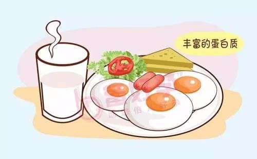備孕期間飲食禁忌，如何調(diào)整飲食以提高生育健康，備孕飲食指南，禁忌與調(diào)整策略，助力生育健康