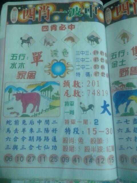 王中王20期指一生肖，揭秘背后的秘密與生肖運勢解析，王中王20期生肖揭秘與運勢解析