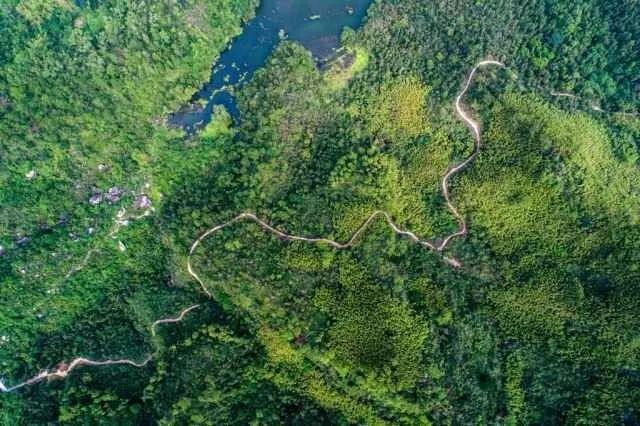 新澳門綜合號(hào)碼走勢圖，探索與解讀，澳門綜合號(hào)碼走勢圖解析與探索