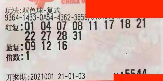 彩民之家，極速開獎，正版澳門掛牌圖庫與永久免費(fèi)資料的全新體驗，彩民之家，極速開獎與正版澳門掛牌圖庫的全新免費(fèi)體驗