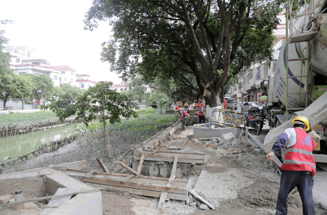 探索新澳的特色服務(wù)，從133567cm查詢出發(fā)，從查詢碼133567cm出發(fā)，探索新澳特色服務(wù)之旅