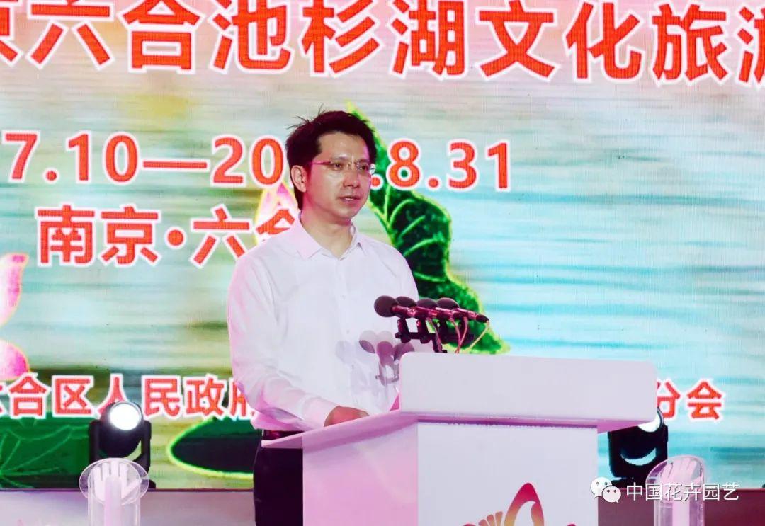 澳門六和開獎結果2023年今晚開獎，全面解析與預測，澳門六和2023年今晚開獎結果解析與預測