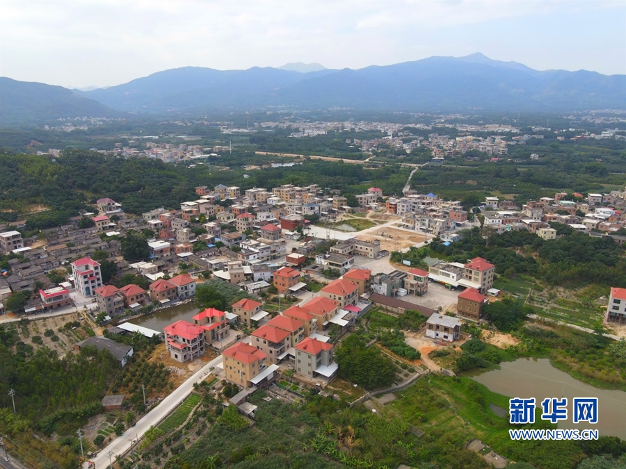 王中王493333中特馬特色，深度解析與探索，王中王彩票特色深度解析與探索，揭秘彩票背后的秘密