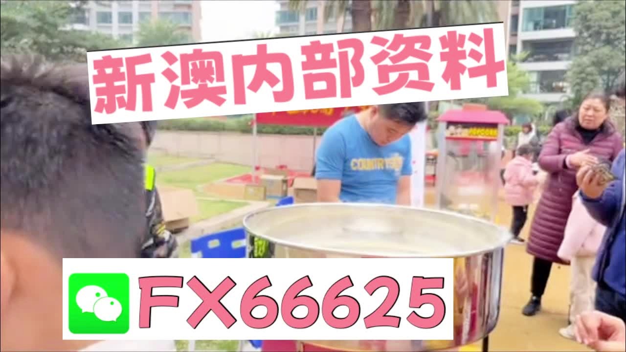 澳門乾坤寶典與最新資料大全，探索未來的奧秘（2025新澳資料匯總），澳門乾坤寶典與最新資料大全，探索未來奧秘（2025新澳資訊匯總）