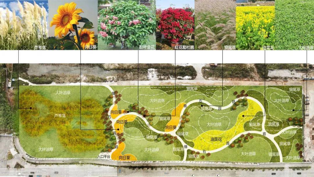 2025年新澳門六開獎結(jié)果查詢——輕松掌握最新開獎動態(tài)，澳門彩票開獎結(jié)果查詢，掌握最新動態(tài)