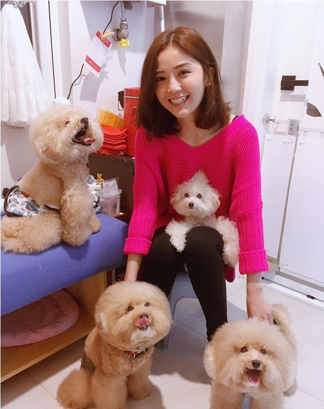 阿Sa，音樂巨星的光芒與SEO的獨(dú)特魅力，阿Sa，音樂巨星與SEO魅力的交匯點(diǎn)