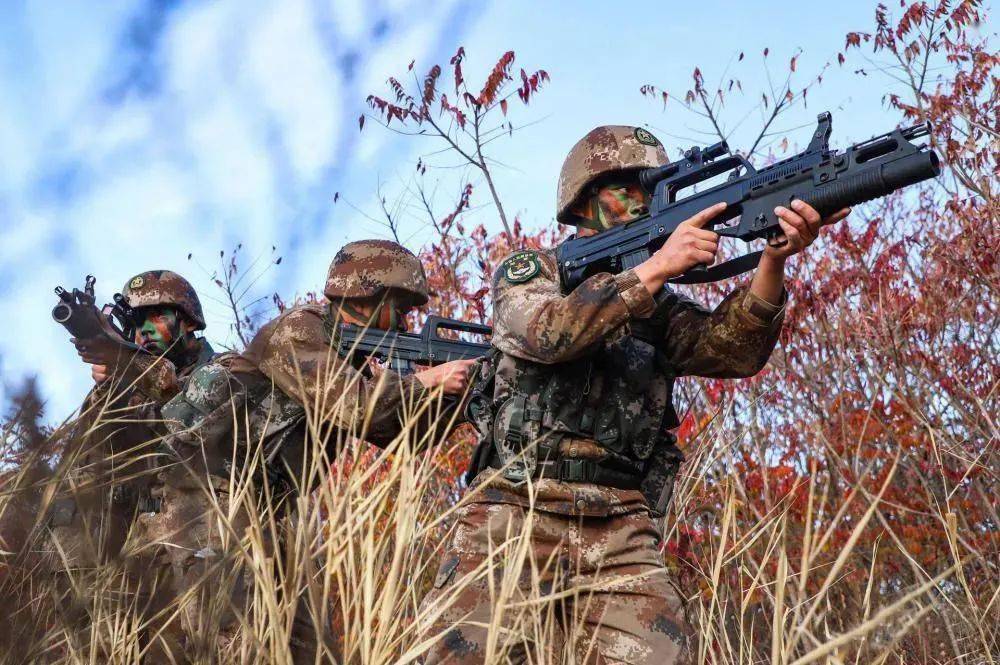 三種人不能參軍，原因與考慮，三種人群不適宜參軍，原因深度解析