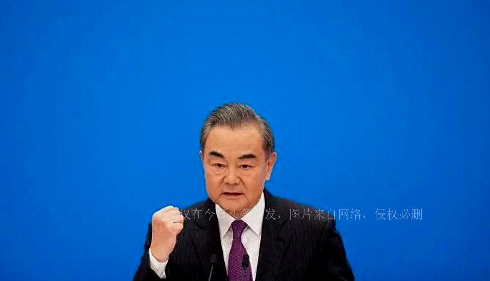 圖160白天鵝，優(yōu)雅與力量的象征，白天鵝，優(yōu)雅與力量的完美融合