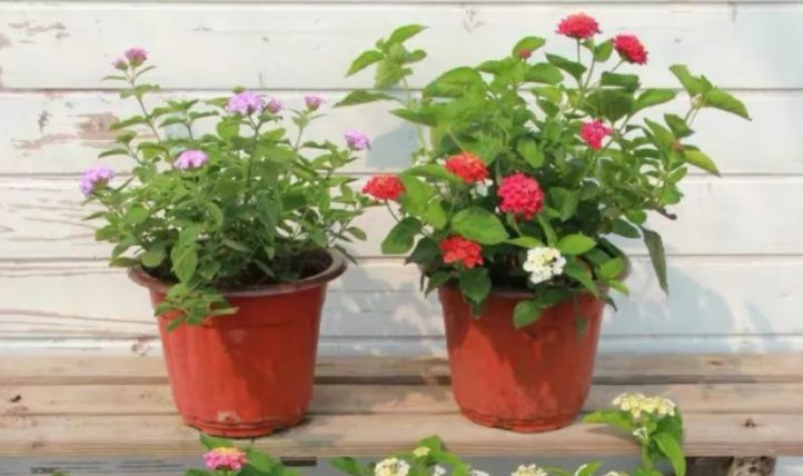 新聞網(wǎng)最新消息，掌握時(shí)事熱點(diǎn)，一覽天下大事，新聞網(wǎng)獨(dú)家快訊，掌握時(shí)事熱點(diǎn)，全球大事盡在掌握